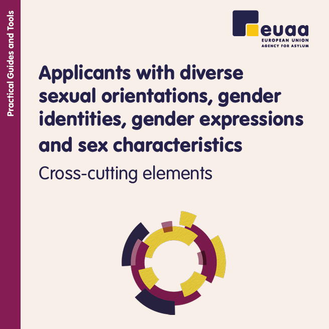 Applicants with Diverse Sexual Orientations, Gender Identities, Gender Expressions and Sex Characteristics